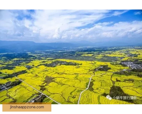 探索金沙体育竞猜平台的全新玩法与赢取策略指南